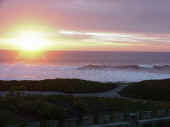 Restaurants in Half Moon Bay